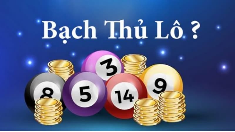 Bạch thủ lô có độ biến động cao và dễ tạo bẫy tâm lý